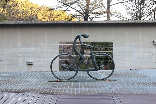 Outdoor Sculpture Field